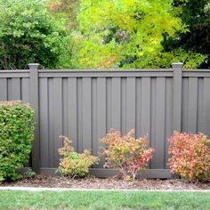 some bushes and trees in front of a fence