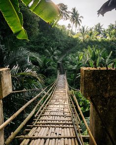 Chasing waterfalls in Cebu, Philippines with the homies is never a bad idea! Each waterfall feels like a hidden gem waiting to be discovered, especially with their stunning turquoise blue waters filtered by limestone deposits. Dao Falls is a one you don’t miss. It has these unique trail that make you feel like you’re in a canyon with secluded rivers and water pools all the way to the main pool at the base of the falls. This is God’s creation at its finest. 🌿💦✨ #CebuAdventures #WaterfallWonde... The Homies, Chasing Waterfalls, Bad Idea, Cebu, Hidden Gem, Blue Water, A Bad