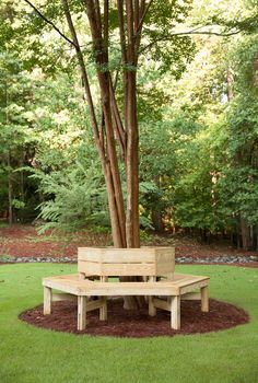 a wooden bench sitting in the middle of a park next to a tree and grass area