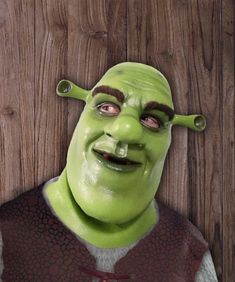 Hello, we have for you Shrek Latex Mask. Handmade from Sculpture to the final result. To use in fun times with your Friends, such as Parties, Halloween, Christmas, Comic Conventions or just as a fan to collect. Read carefully before buying: The Masks is only adult size 62 cm. Approximate inner diameter. We use the best Materials, painted with Airbrush and details with brush. Every single piece, the color of the skin can change. with brown fur eyebrows They have holes to see and breathe well. Partially filled with polyurethane foam Being a flexible latex masks, they do not break when falling, but they need care, Put some talcum powder inside and place on a Styrofoam head to exhibit. Do not expose to the sun or strong light and heat for a long time. To store, do not place objects on top and Fairy Tale Cosplay, Latex Masks, Styrofoam Head, Talcum Powder, Brown Fur, Fun Times, Tv Commercials, Shrek, Polyurethane Foam