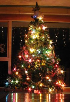 a brightly lit christmas tree in front of a window