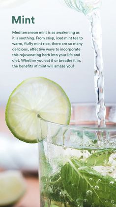 a green drink being poured into a glass filled with ice and mint leaves, surrounded by lime slices