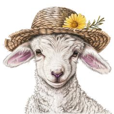 a drawing of a sheep wearing a straw hat