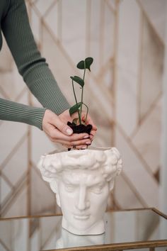 a person holding a plant in their hand over a white vase with a face on it