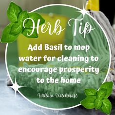 Basil Magic, Wiccan Tips, Magickal Tips, Magic Kitchen, Herbal Witch, Earth Girl, Cooking Herbs