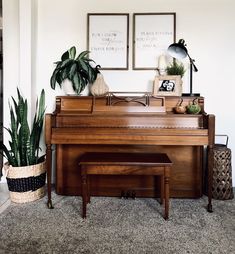 a grand piano in a living room with two plants on the floor and pictures above it