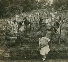 an old black and white photo of people working in a garden