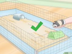 a hamster in a cage being fed by someone's hand with a green arrow pointing to it