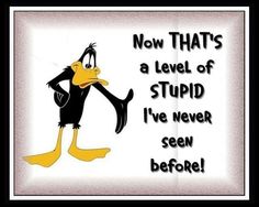 Vintage Funny Quotes, Funny Good Morning Quotes, Funny Jokes For Adults, Daffy Duck