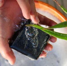 Are you looking for a skin detox? Charcoal soaps are the way to go! It’s a power extractor of dirt and oils for your pores. Meaning, no more toxicity in the skin! 🧼
#charcoal #soap #natural #skincare #detox #naturalskincare #bath #extractor #smallbusinessowner #bubble s Bubble S, Charcoal Benefits, Natural Homemade Soap, Charcoal Soap, Skin Detox, Soap Company, Body Soap, Natural Skincare, Home Made Soap