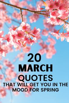 pink flowers with the words 20 march quotes that will get you in the mood for spring