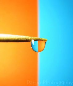 a drop of water sitting on top of a yellow and blue wall next to a green stick