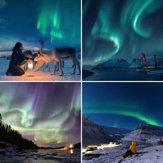 four different shots of people and animals under the aurora lights in norway, one with a lantern on his head