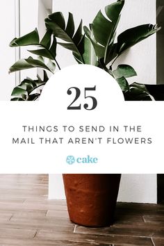 a potted plant with the words 25 things to send in the mail that aren't flowers