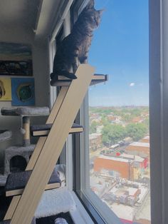 a cat sitting on top of a window sill looking out at the city below