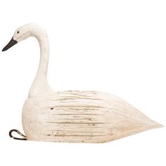 a white swan is standing in front of a white background