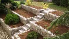 an outdoor garden with stone steps and landscaping