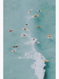 an aerial view of surfers in the ocean