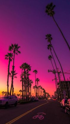 palm trees line the street as the sun sets in an orange and pink sky above