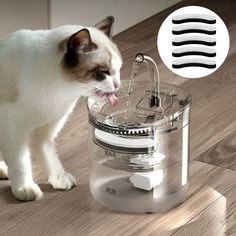 a cat drinking water from a faucet in a glass container on the floor