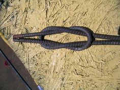 a black snake is laying on the ground