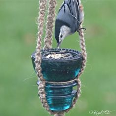 a bird feeder hanging from the side of a green grass covered field with text below it