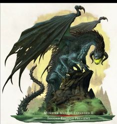 a black dragon standing on top of a rock