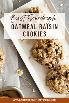 three oatmeal raisin cookies on a white plate with text overlay