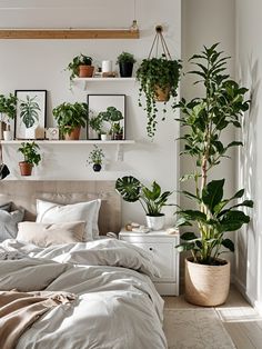 there is a bed with white sheets and plants on the wall above it in this bedroom