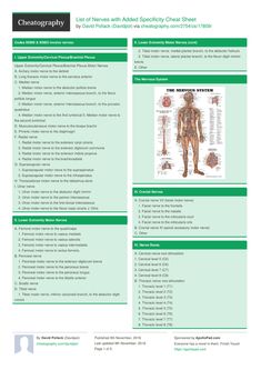 the front and back page of a medical brochure, with information on it