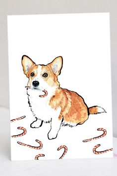 a card with an image of a corgi sitting on top of candy canes