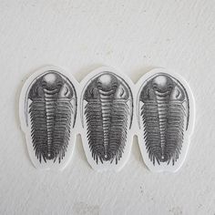 three oval stickers with black and white designs on them