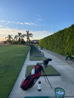 the golf bags are lined up on the side of the walkway to the green course