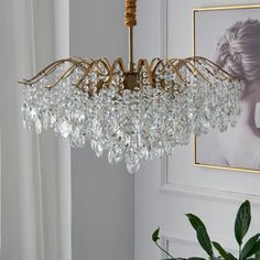 a chandelier hanging from the ceiling in a room