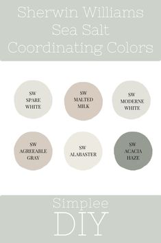 sherylin williams sea salt coordinating colors