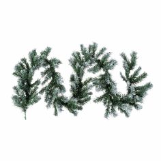 three pine branches with snow on them against a white background