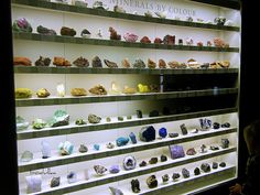 there are many different types of rocks on the shelves in this display case and people looking at them