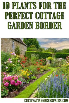 an image of garden borders with text overlay that reads 10 plants for the perfect cottage garden border