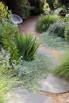 a garden with lots of plants and rocks