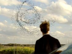 a man looking at a flock of birds in the sky