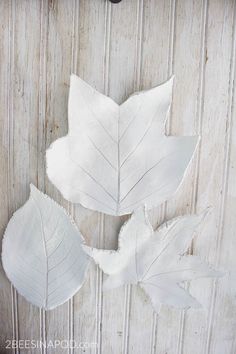 three white leaves sitting on top of a wooden table