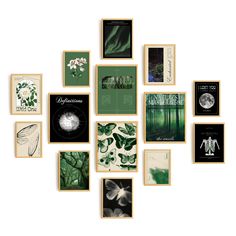 an assortment of green and white pictures on a wall with leaves, flowers, butterflies, etchings