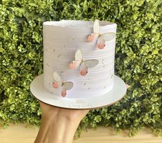 a hand holding a white cake with butterflies on it