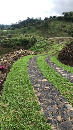 a stone path in the middle of a lush green field