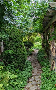 a stone path in the middle of a lush green garden