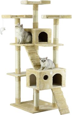 two cats sitting on top of a cat tree