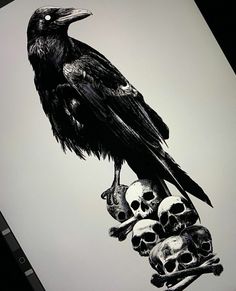 a black bird sitting on top of a pile of skulls next to a human skull