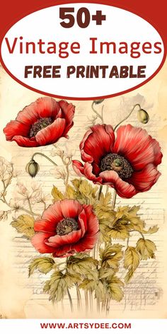 an image of red flowers with the words 50 vintage images free printable on it