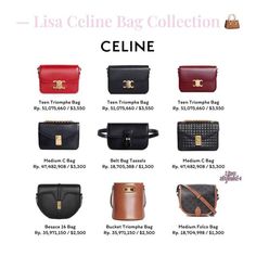 Tas Celine, Chanel Rose, Pretty School Supplies, Celine Paris, Simple Style Outfits, Chanel Brand, Iconic Bags