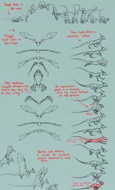 an image of how to draw birds in different poses and positions, with the text below it